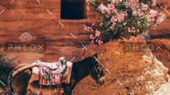 demo-attachment-29-daniel-burka-243389-unsplash